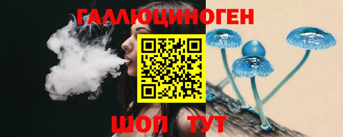 Псилоцибиновые грибы Cubensis  Вход с VPN  Псилоцибиновые грибы MAGIC MUSHROOMS  Коммунар 